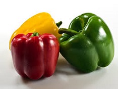 green bell pepper in hindi